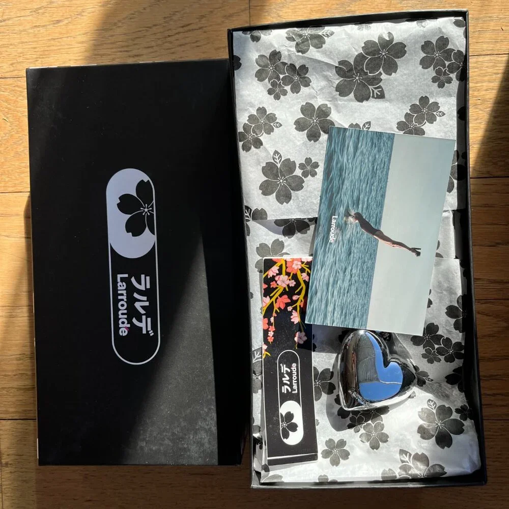 Larroude new box